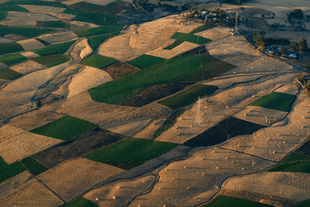 Aerial view of fields, Ethiopia