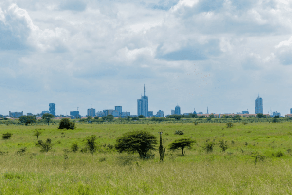Nairobi National Park Gate, Kenya
