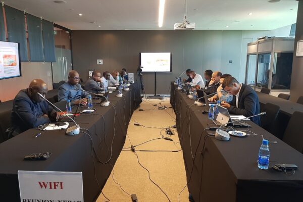 Transmission Planning Training for African Power Pools delivered through AUDA-NEPAD and GET.transform, February 2023