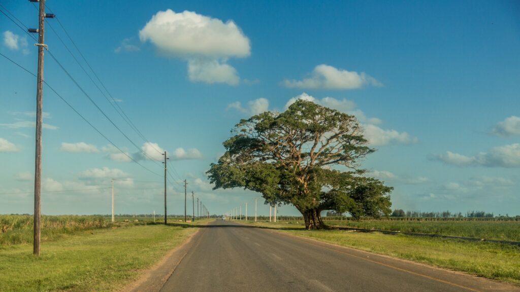 country road, power lines in Mozambique