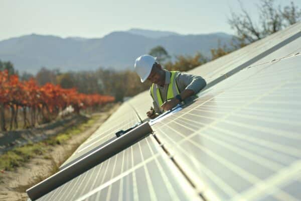 technical staff inspecting solar panel