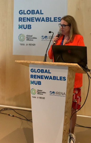 Ingrid-Gabriela Hoven, Managing Director GIZ, at SRMI side event at COP28