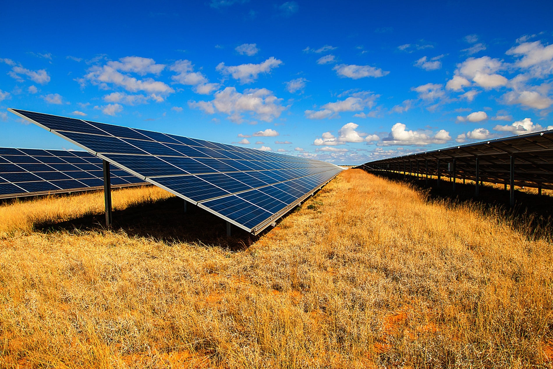 solar energy farm in South Africa