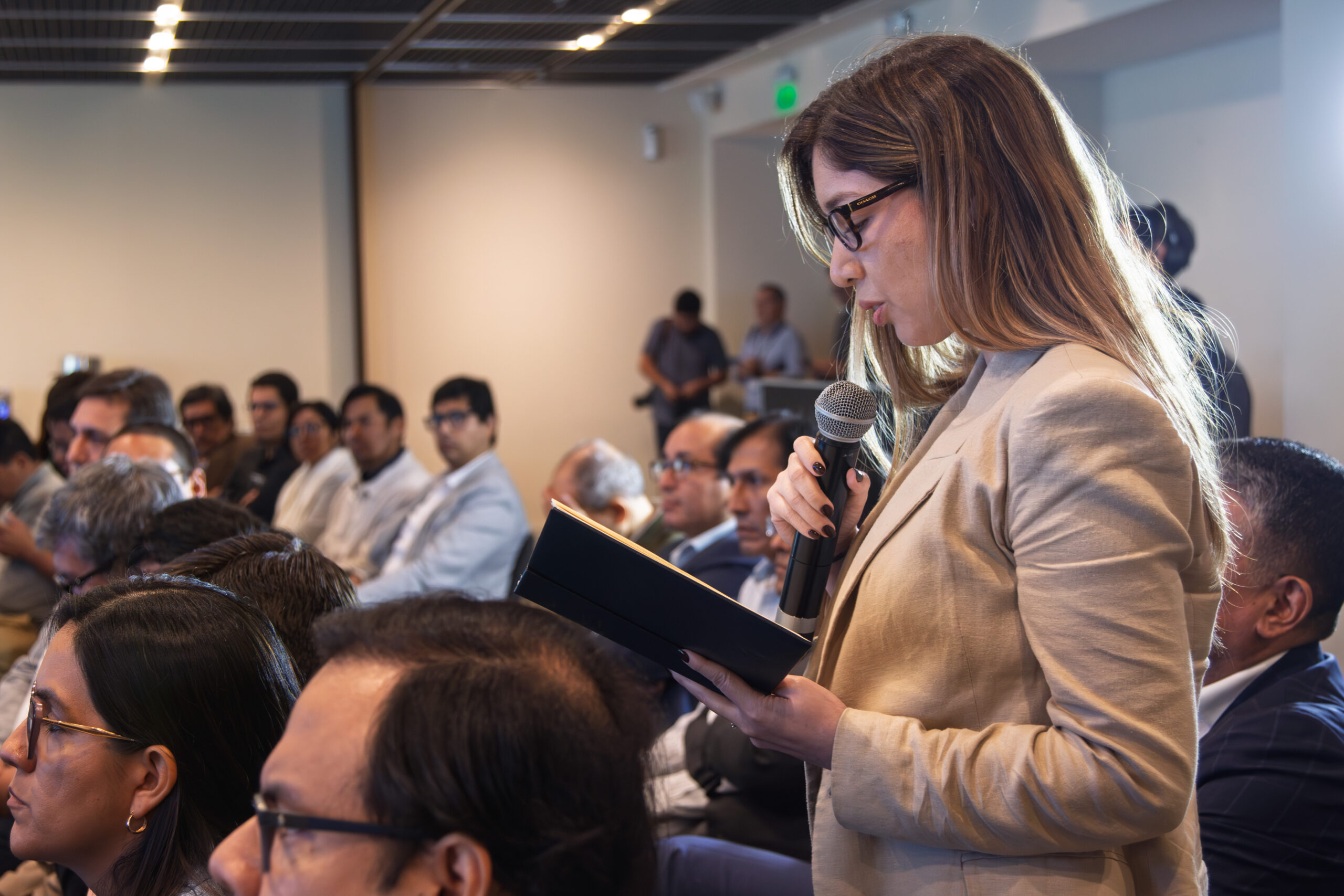 Impression from the Energy Sector Stakeholder Consultation in Peru, 16 April 2025